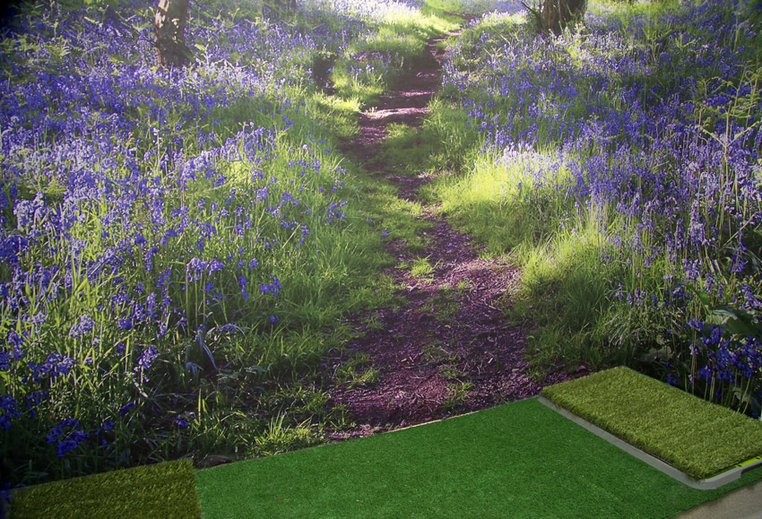 images/Dog%20Boarding/pet-hotel-tranquility-suite.jpg#joomlaImage://local-images/Dog Boarding/pet-hotel-tranquility-suite.jpg?width=850&height=579