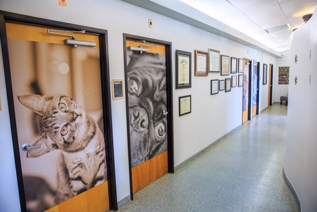 images/rooms1.jpg#joomlaImage://local-images/rooms1.jpg?width=640&height=428