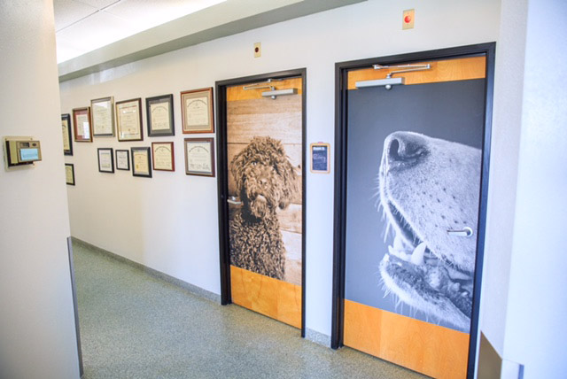 images/rooms2.jpg#joomlaImage://local-images/rooms2.jpg?width=640&height=428